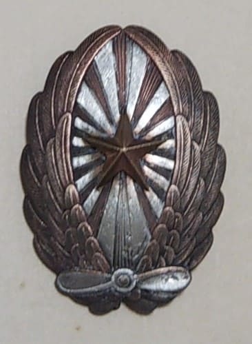 1933 Tokorozawa Army Flight School Pilot Badge.jpg