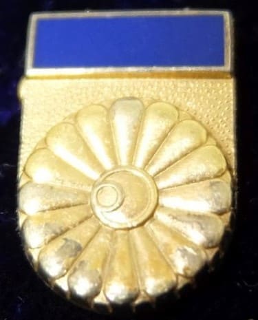 1st class Merit Badge.jpg