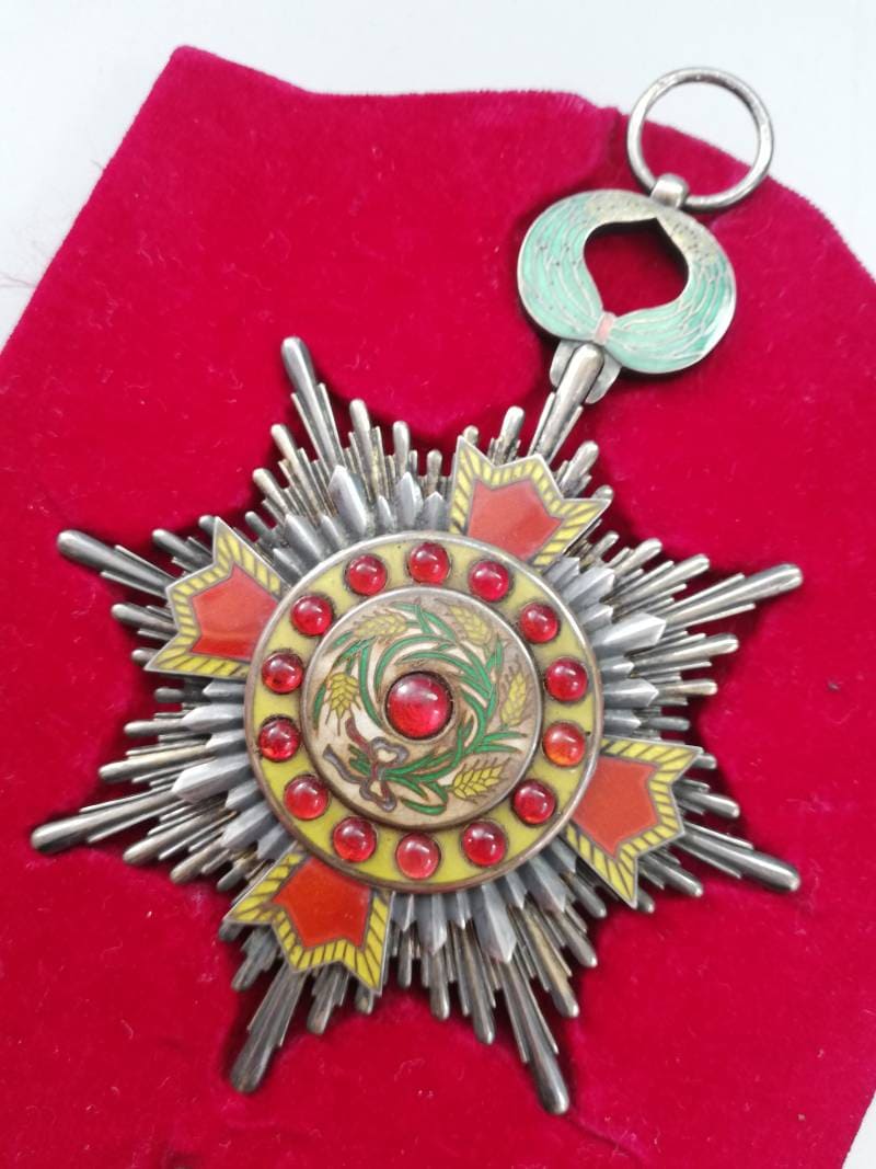 1st class Order of Precious Brilliant Golden Grain.jpg