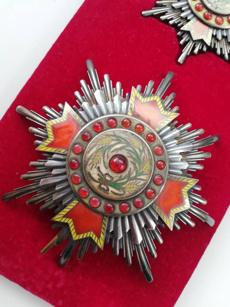 1st class Order of Precious Brilliant Golden Grain 一等寳光嘉禾勲章.jpg