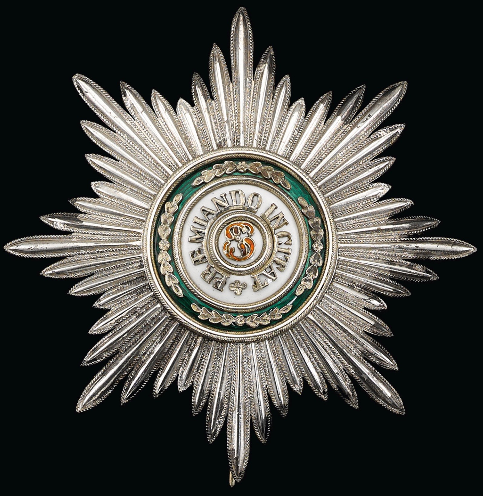 1st class St.Staniuslaus order-.jpg