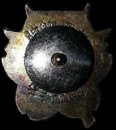 1st variation of Battle of Wuhan Participation Commemorative  Badge.jpg