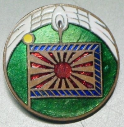24th Infantry Regiment Battle Flag Supporting Association Badge,.jpg