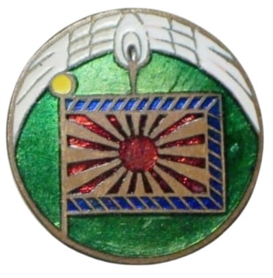 24th Infantry Regiment Battle Flag Supporting  Association Badge.jpg