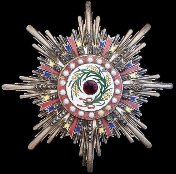 2nd class breast star  Order of Precious Brilliant Golden Grain.jpg