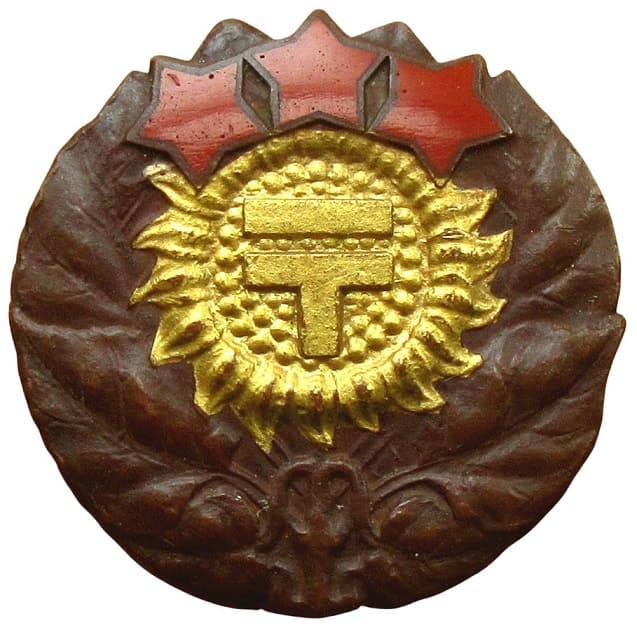 2nd class Grade B badge.jpg