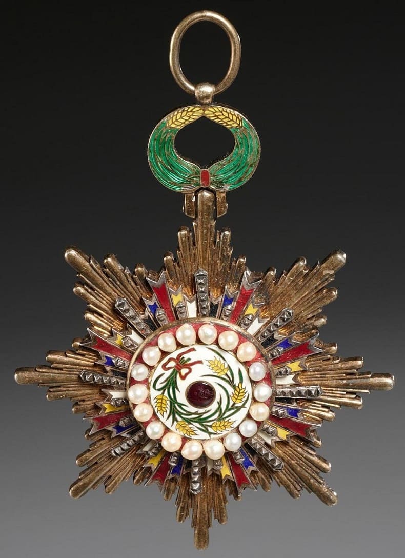 2nd class Order of Precious Brilliant Golden Grain 二等寳光嘉禾勲章.jpg