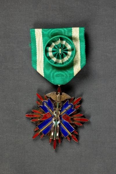 4th class Golden Kite  order  with a field case.jpg