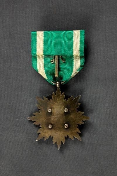 4th class Golden Kite  order with a field case.jpg