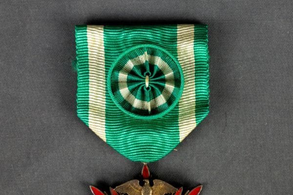 4th class Golden  Kite order with a field case.jpg