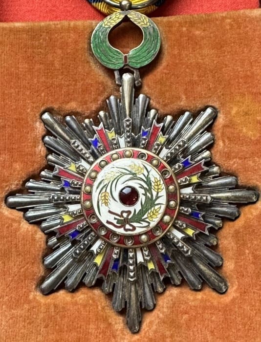 4th class  Order of Precious Brilliant Golden  Grain  四等寳光嘉禾勲章.jpg