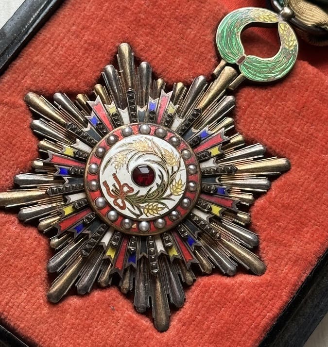 4th  class Order of Precious Brilliant Golden  Grain 四等寳光嘉禾勲章.jpg