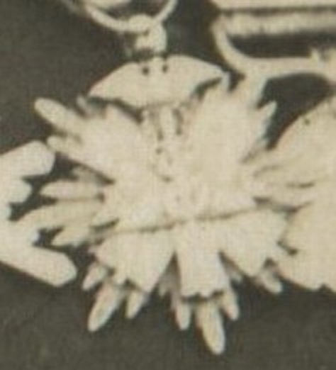 57.jpg