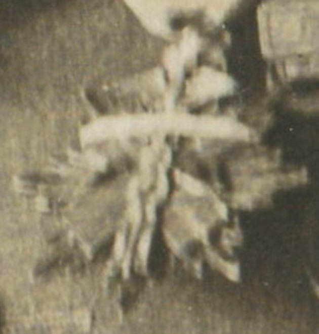 57.jpg