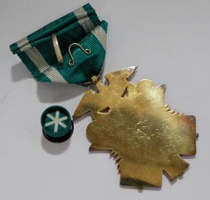 6th class  Golden Kite.jpg