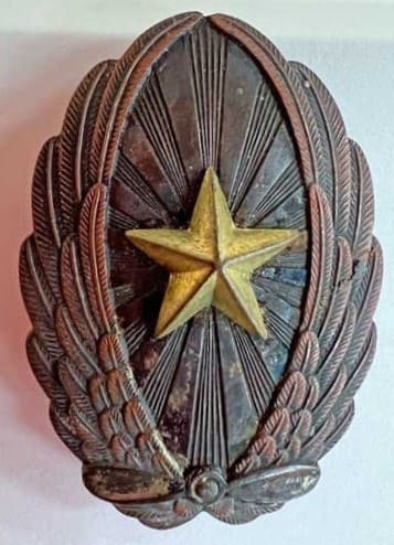 6th Class of Youth Combat Pilots NCO badge.jpg