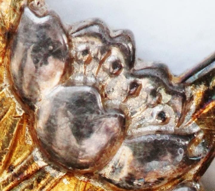 7th class Precious  Crown order in seal script..jpg