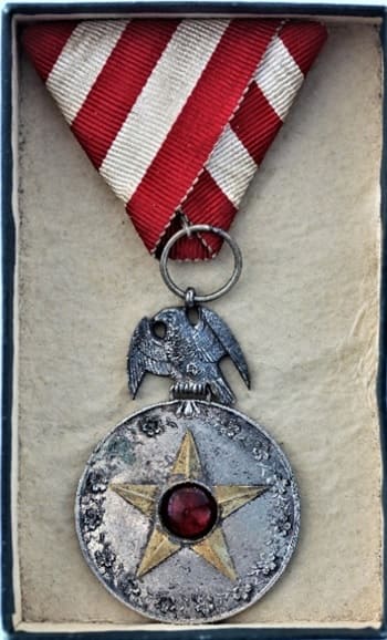 7th Reserve Infantry  Regiment 1894-1895  Campaign Commemorative Medal.jpg