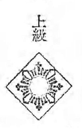 Advanced Level Martial Arts Badge 上級武道章.jpg