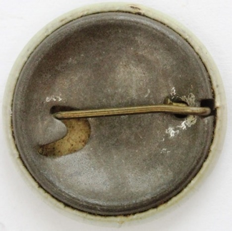 Air Defence Oita Prefecture Badge..jpg