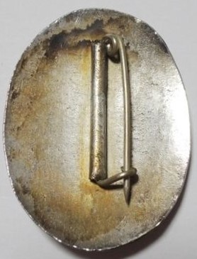Air Defense Corps Branch  Membership Badge 防空團員之章.jpg