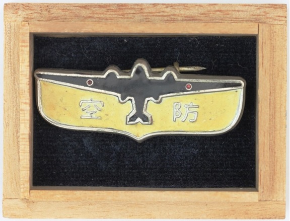 Air Defense Luminous  Badge 防空夜光徽章.jpg