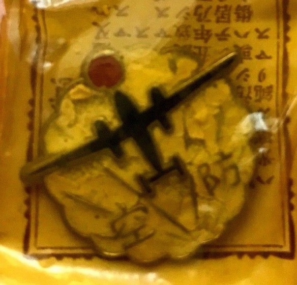 Air Defense  Luminous Badges 防空夜光徽章.jpg