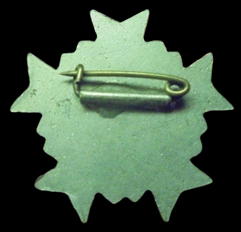 Air Defense Surveillance Team Badge 防空監視章.jpg