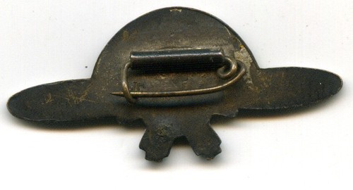 Arawashi Badge  荒鷲章.jpg