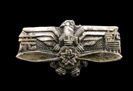 Arawashi Badge 荒鷲章.jpg