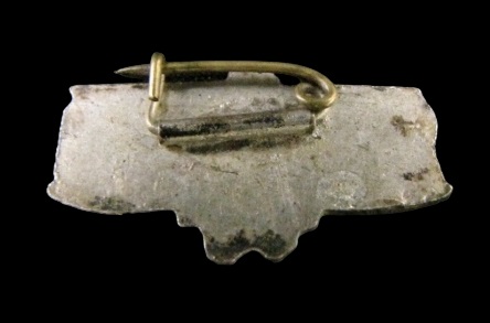 Arawashi  Badge 荒鷲章.jpg