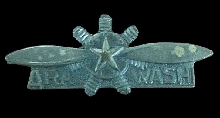 Arawashi_Badge 荒鷲章.jpg