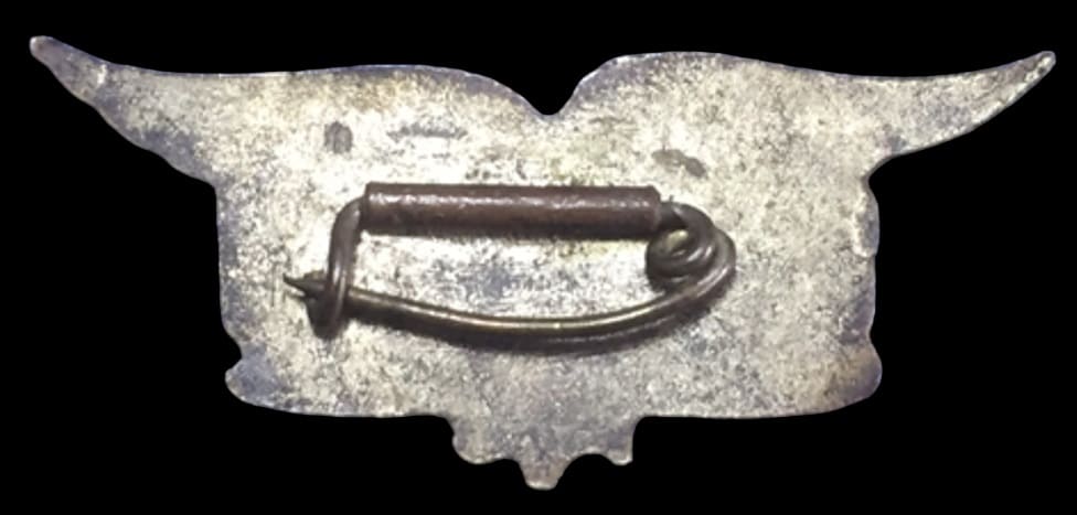 Arawashi_Badge.jpg