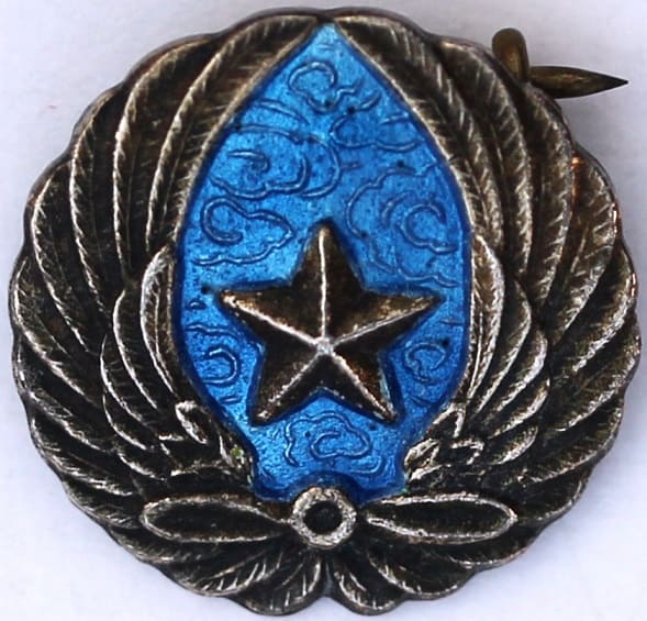 Army Aviation Badge 陸軍航空章.jpg