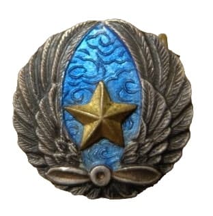 Army  Aviation  Badge陸軍航空章.jpg