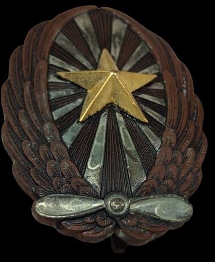 Army Military Aircraft Piloting Mastery Badge.jpg