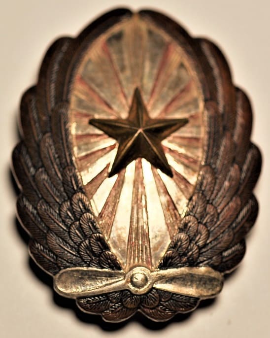 Army  Pilot Badge  manufactured by Toho workshop.jpg