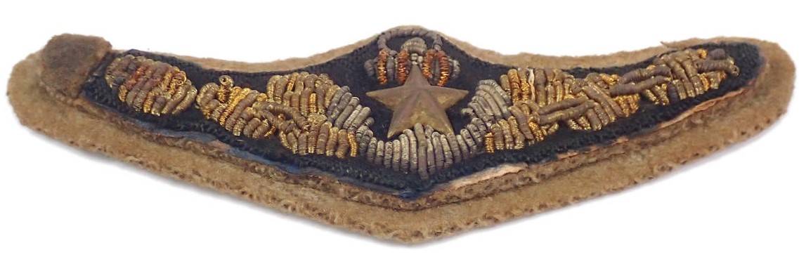 Army Shipping Command Air  Force Breast  Badge 船舶胸章.jpg