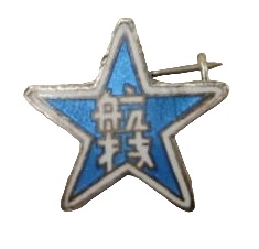 Aviation Badge.jpg