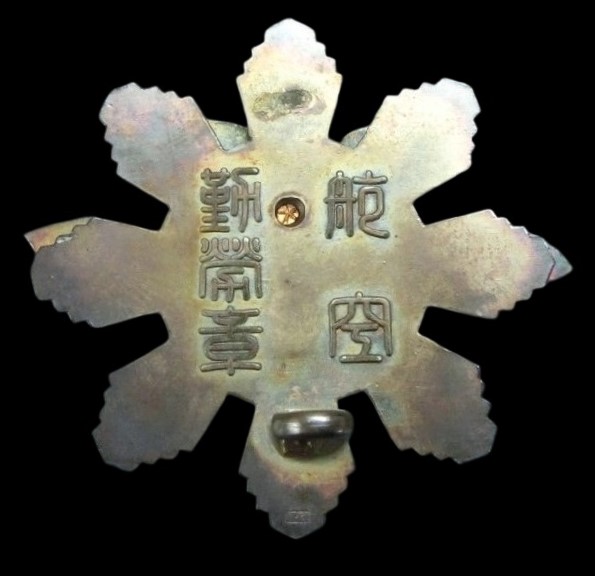 Aviation Diligence Badge.jpg