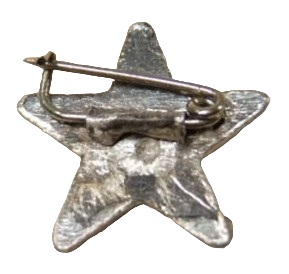 Aviation_Badge.jpg