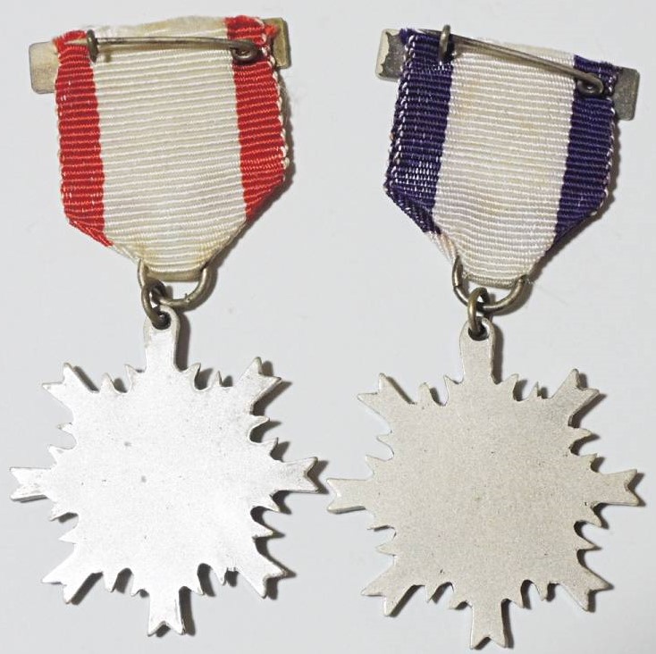 Award Badge  賞詞記章.jpg
