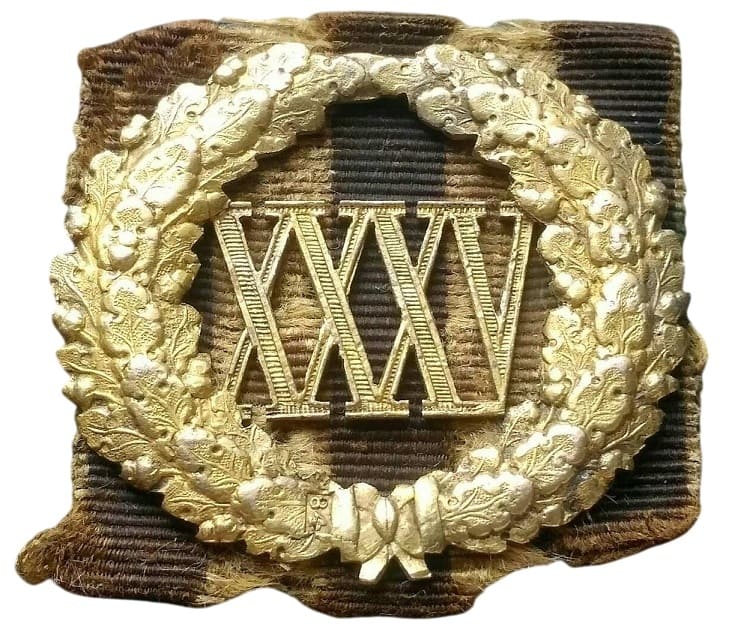 Badge  of Excellence for  Faultless Service.jpg