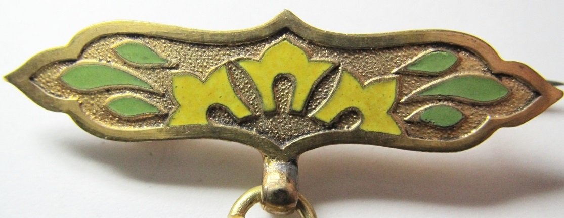 Badges of Saiseikai--.jpg