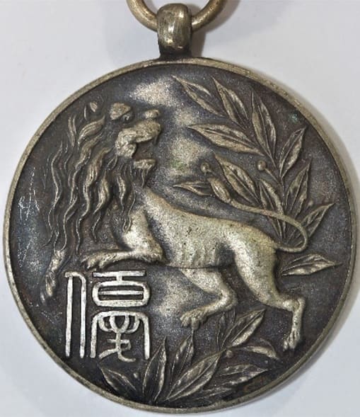 Boxing and Jujitsu Award Medal.jpg