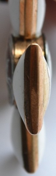 Bulbous type-.JPG