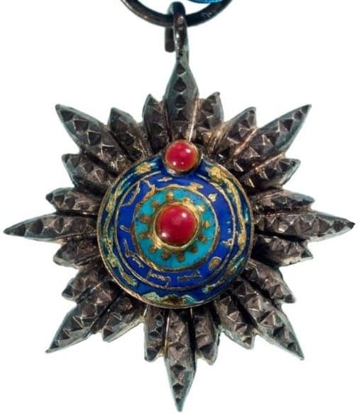 Double Dragon breast star miniature.jpg