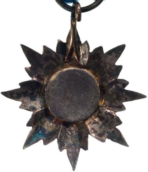Double Dragon breast star  miniature.jpg