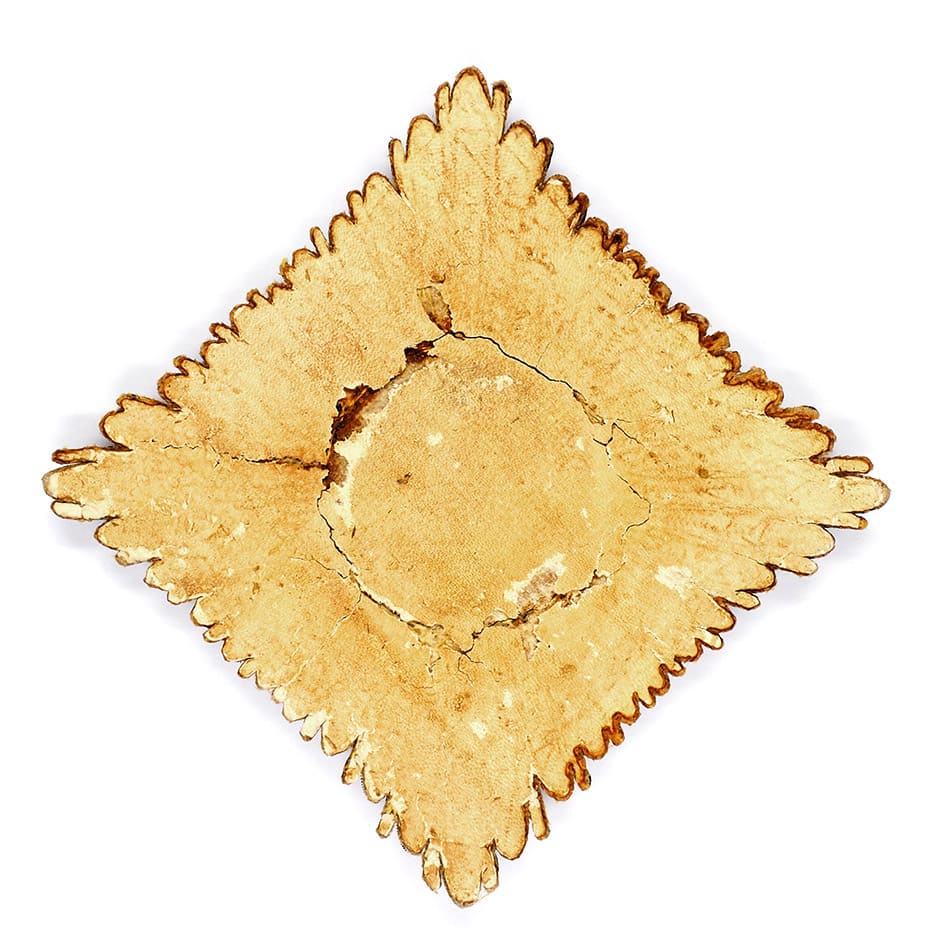 Embroidered fake breast  star of Saint  George order.jpg
