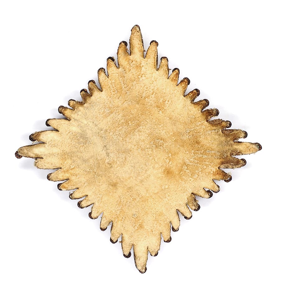 Embroidered fake breast  star of Saint George order.jpg